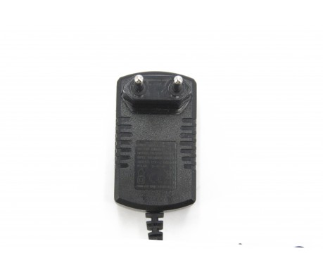 Зарядное устройство HKI 12V 1000 mAh для электромобилей - HK150V-120100