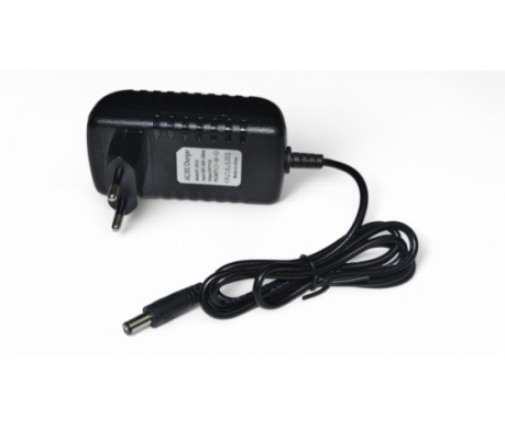 Зарядное устройство 24V 1000 mAh