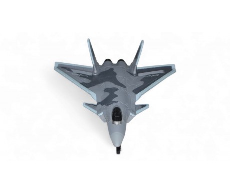 Радиоуправляемый самолет J-20