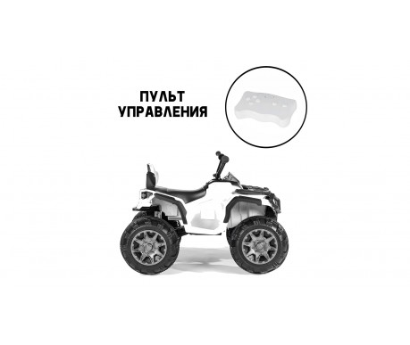 Детский электромобиль квадроцикл Grizzly с пультом управления (задний привод, 12V)