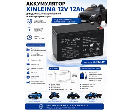 Аккумулятор XINLEINA 12V12Ah/20Hr - X-6FM12