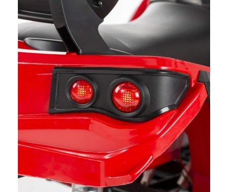 Детский квадроцикл Grizzly ATV 4WD Red 12V с пультом управления - BDM0906-4