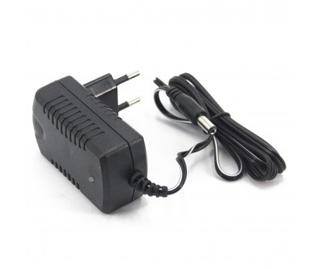 Зарядное устройство HKI 12V 1000 mAh для электромобилей - HK150V-120100